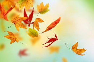 Contest: Who are you most thankful for?
