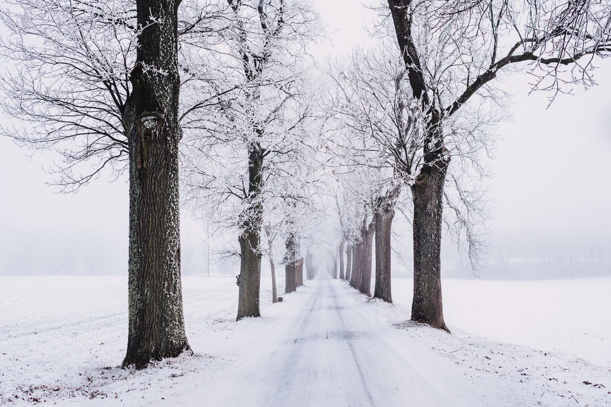 A Snow Day Should Be Your Most Productive Day