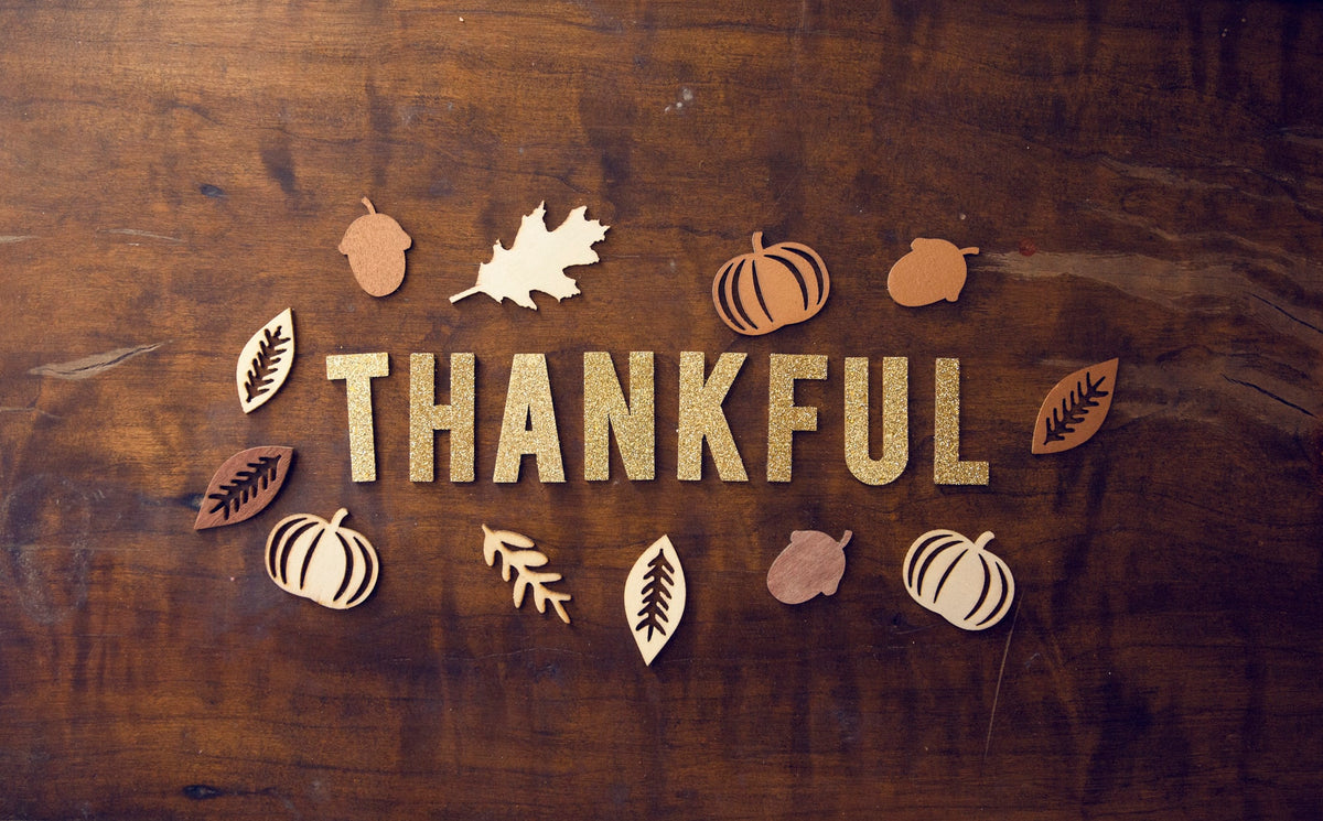 Things I am thankful for