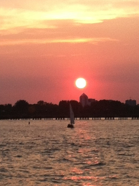 NYC from a Distance