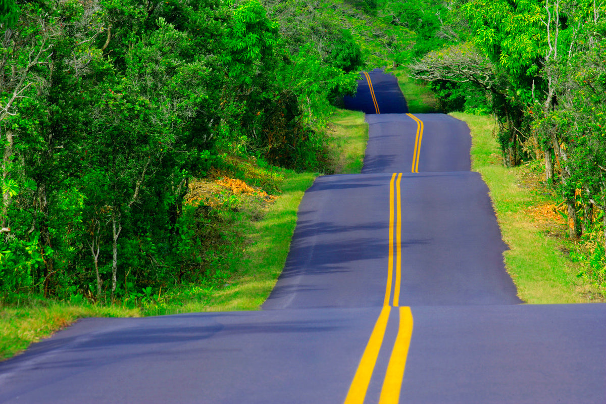 You can't let a bump in the road put you on the side of the road