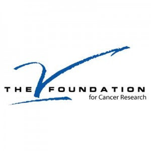 8 Questions with Susan Braun, CEO of the V Foundation